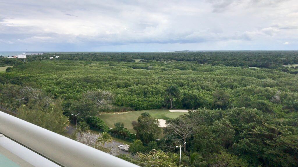 Jungle view from the Westin Cozumel